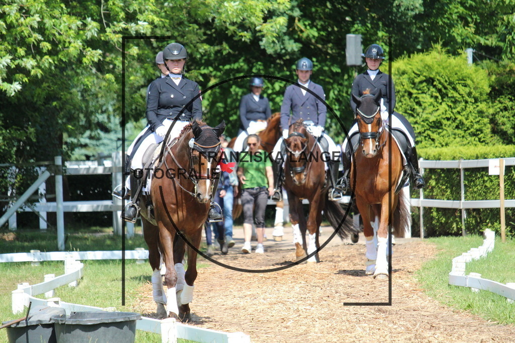 IMG_7258 | franziskalange - Realisiert mit Pictrs.com