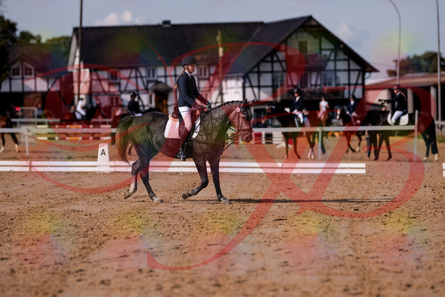 2026_10_03_Siefer-Hof_120022_Z81_01852326 | Professionelle Reitsport-, Turnier- und Eventfotografie von Robert Broda. Galerien mit ausgewählten und bearbeiteten Bildern direkt online ansehen und bestellen.