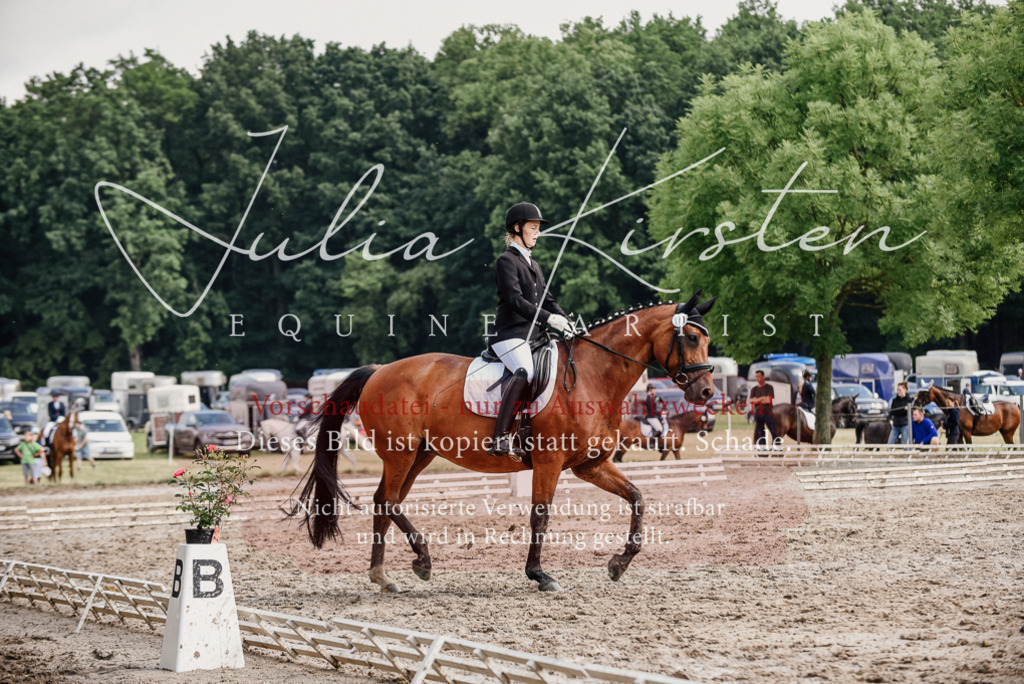DSC_9765 | Pferde- und Turnierfotografie in Westsachsen. Pferdeportraits, Auftragszeichnungen und intuitive Kunst.