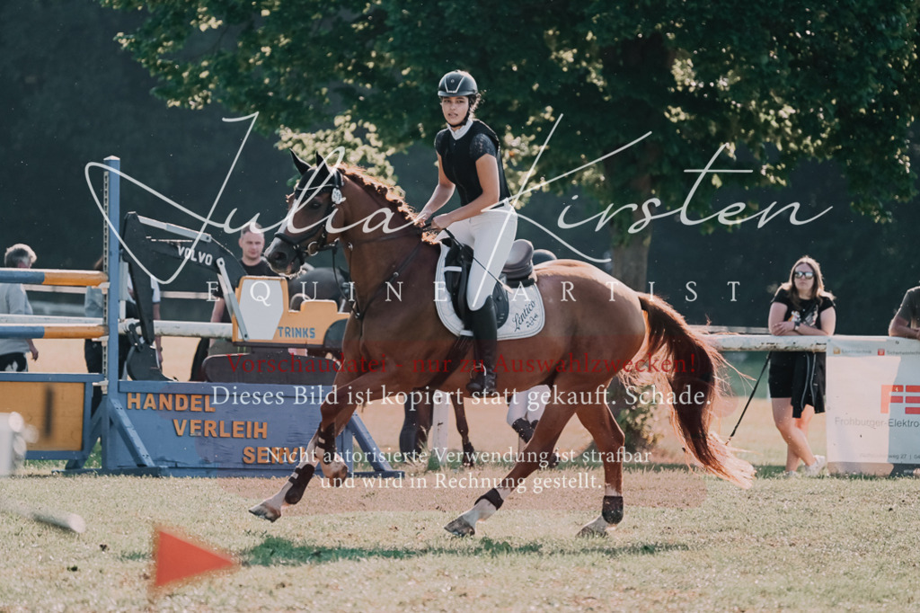 DSC_4645 | Pferde- und Turnierfotografie in Westsachsen. Pferdeportraits, Auftragszeichnungen und intuitive Kunst.
