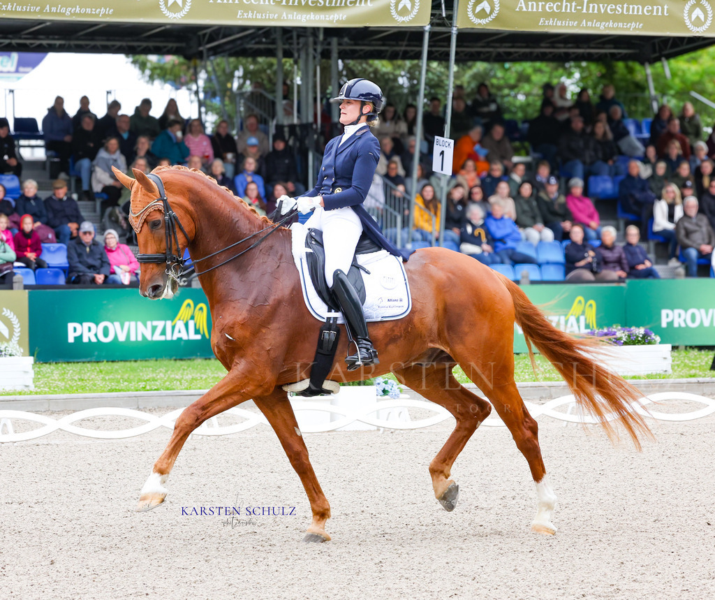 1B3A7264 | Reitsport Reiten