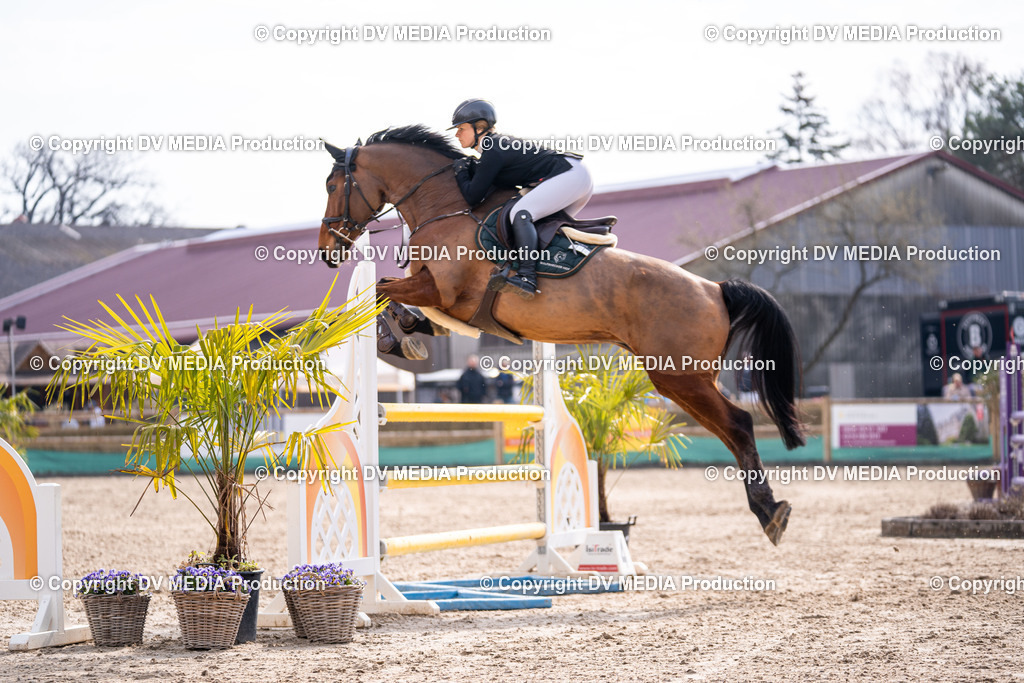 Kranichstein Tag 2-1567 | dv-media-shop - Realisiert mit Pictrs.com