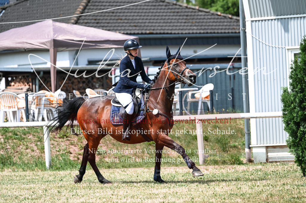 DSC_9111 | Pferde- und Turnierfotografie in Westsachsen. Pferdeportraits, Auftragszeichnungen und intuitive Kunst.
