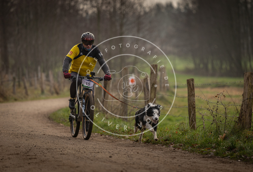 Pfotenfotografie_DV3A1835 | Hundefotografie, Tierfotograf, Pfotenfotografie, Fotoshooting Hund, Hunde Portrait, Hundesport, Hundeportraits, Heideshooting, Hunde, Sportfotograf, Hundefotograf, Turnierhundsport, THS,  - Realisiert mit Pictrs.com