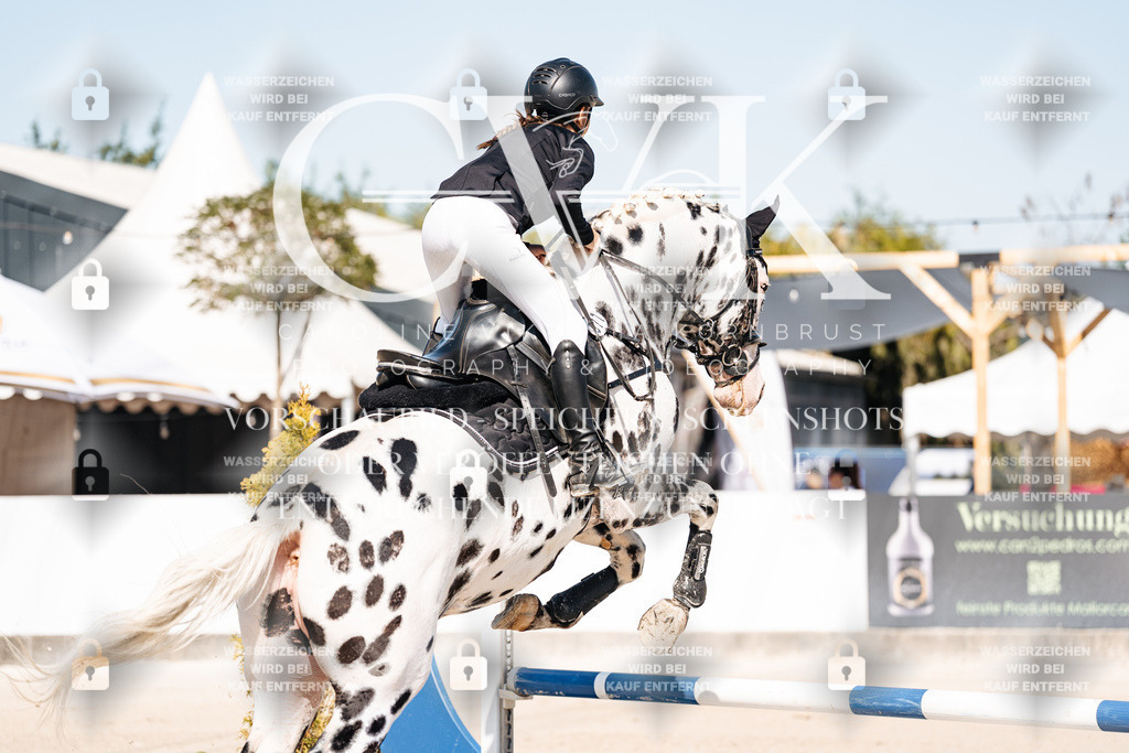 CK905007 | Turnierfotografie Pferdefotografie Trier Rheinland-Pfalz Pferdesport Reitsport Tierfotografie Sportfotografie Pferdevideo Pferdevideografie Equestrianvideography equestrianphotography  - Realisiert mit Pictrs.com