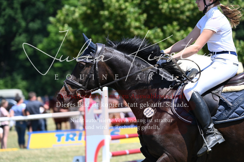 DSC_0730 | Pferde- und Turnierfotografie in Westsachsen. Pferdeportraits, Auftragszeichnungen und intuitive Kunst.