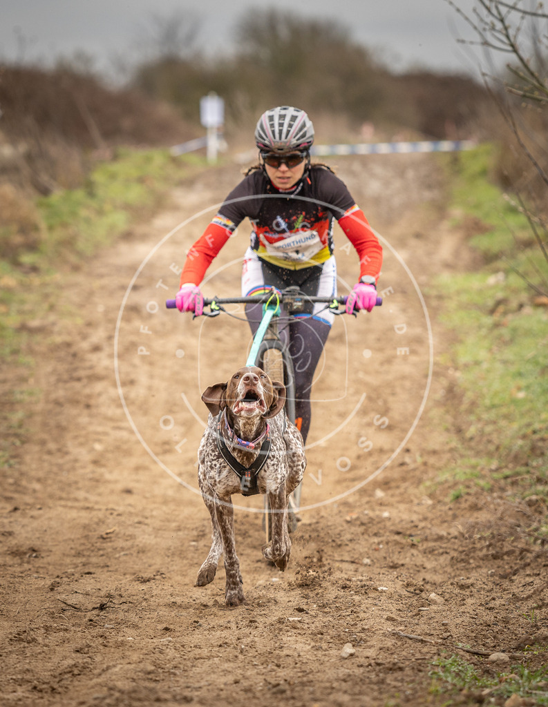 DV3A1257 | Hundefotografie, Tierfotograf, Pfotenfotografie, Fotoshooting Hund, Hunde Portrait, Hundesport, Hundeportraits, Heideshooting, Hunde, Sportfotograf, Hundefotograf, Turnierhundsport, THS,  - Realisiert mit Pictrs.com