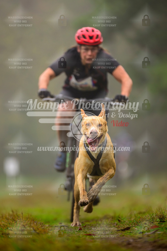 MompixPhotography_Bischwiller2025_Bike-30 | mompixphotography