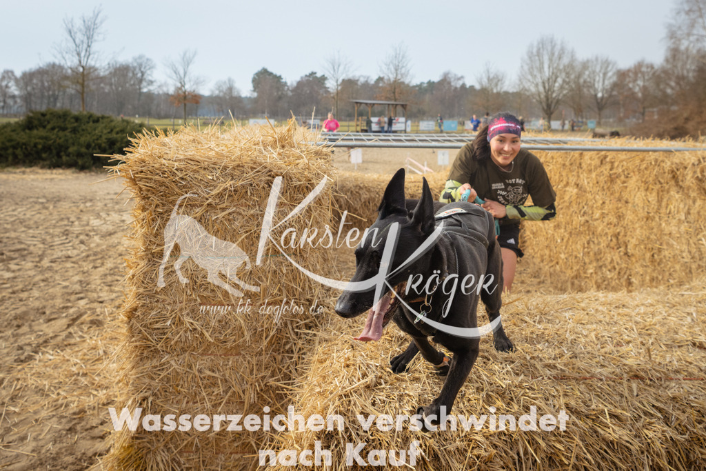 1031_ZZ95989 | kk-dogfotos