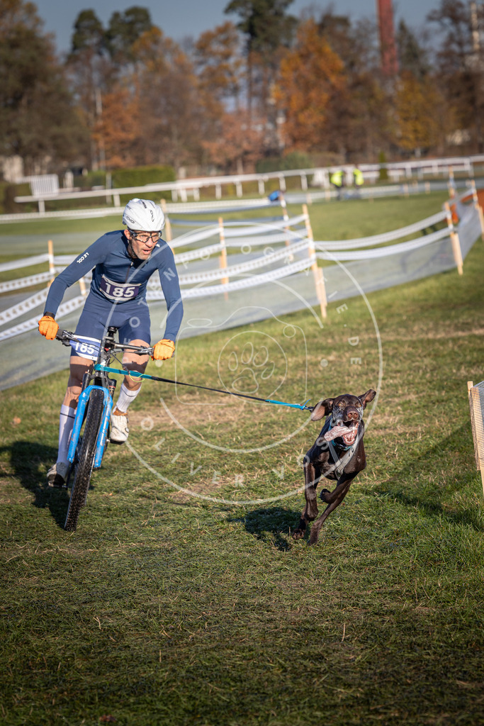 CaniXpix_0L8A4253 | Hundefotografie, Tierfotograf, Pfotenfotografie, Fotoshooting Hund, Hunde Portrait, Hundesport, Hundeportraits, Heideshooting, Hunde, Sportfotograf, Hundefotograf, Turnierhundsport, THS,  - Realisiert mit Pictrs.com