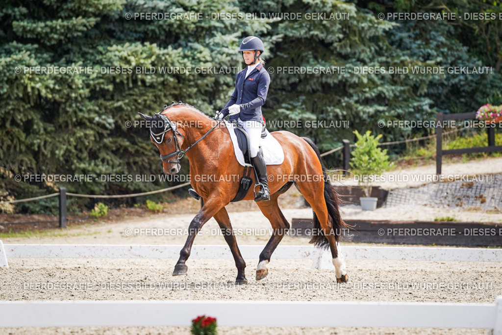 DSC00224 | Pferdegrafie