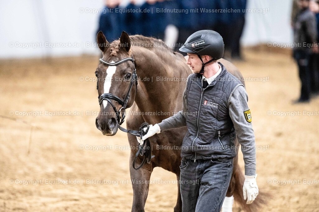 20260307_Hengstvorstellung-Marbach_0544 | equistock
