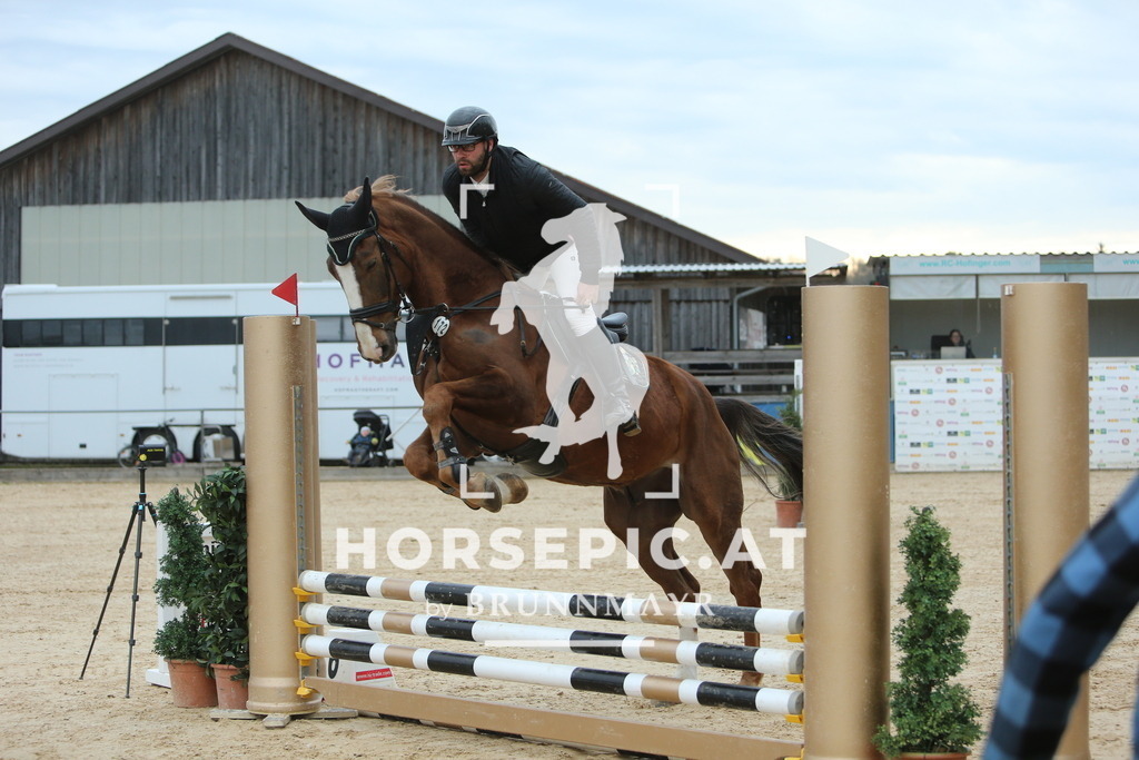 DL2Q1586 | Willkommen bei Brunnmayr - Design & Fotografie – Ihrem Spezialisten für Reitturniere und Pferdeveranstaltungen in Oberösterreich, Salzburg und Bayern! Seit über 17 Jahren sind wir leidenschaftlich dabei.