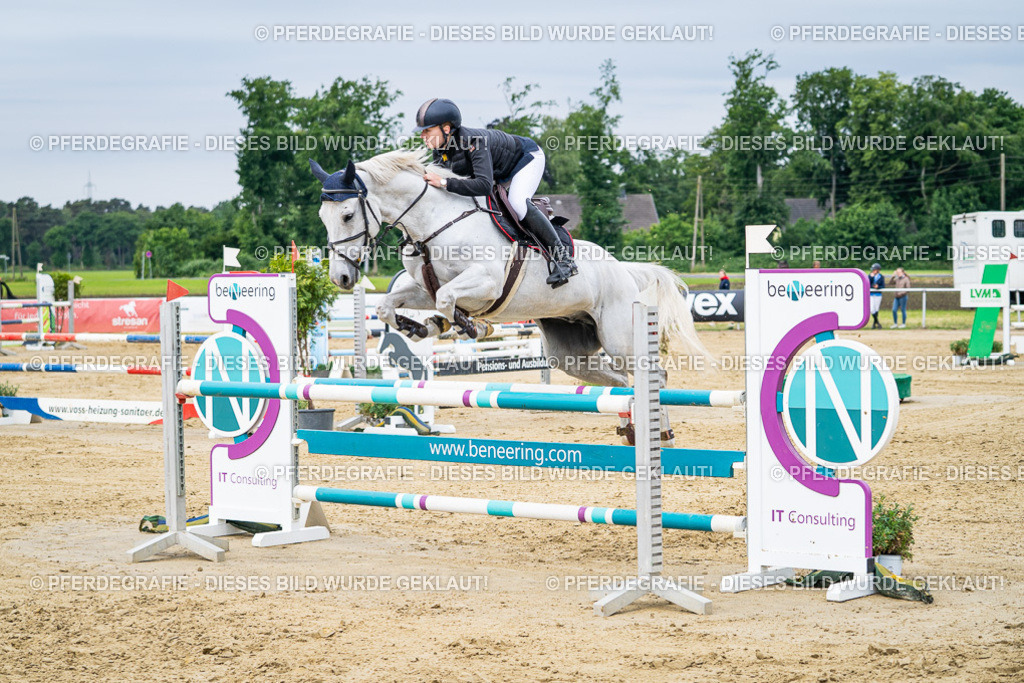 DSC05161 | Pferdegrafie