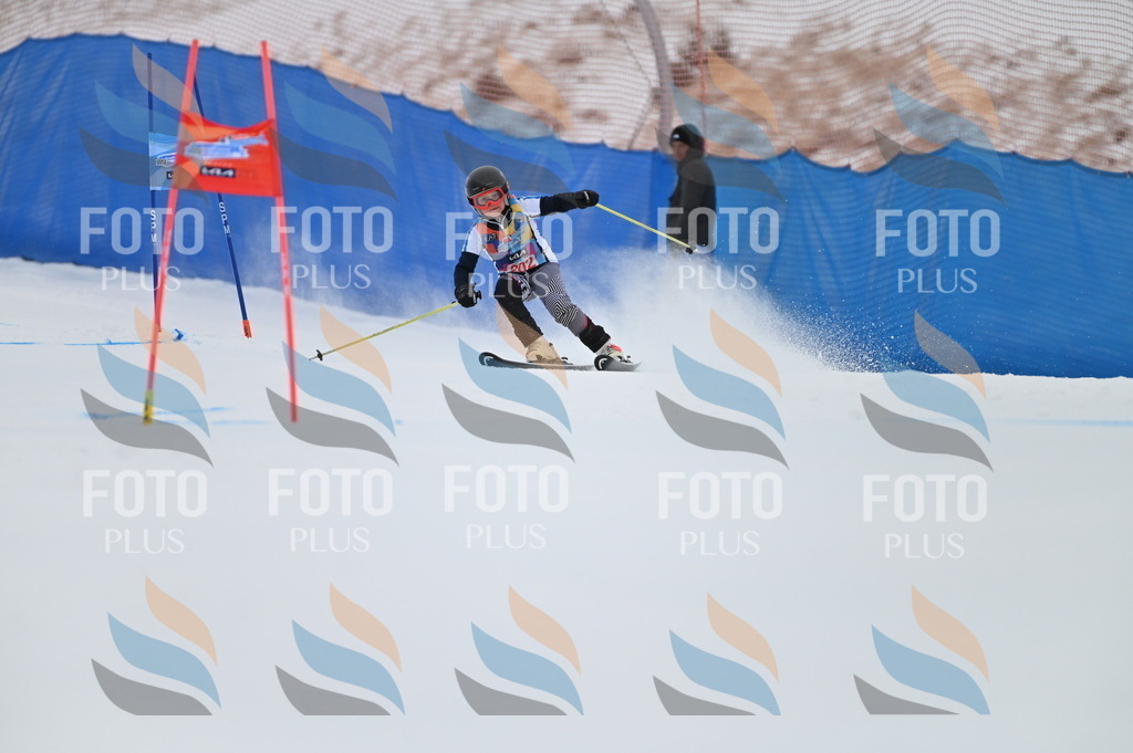 BGV_1943 | holidayphoto