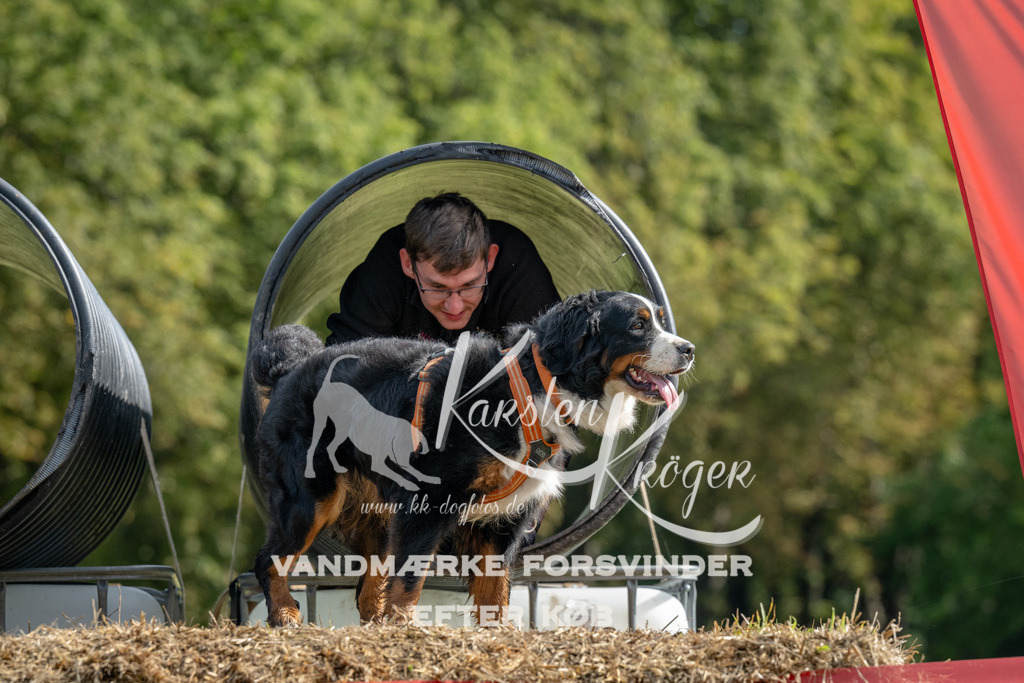 1039_ZZ92702 | kk-dogfotos