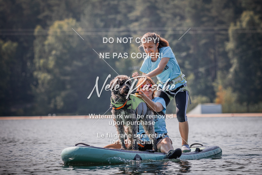 BUHU_SUP_317 | nelerasche