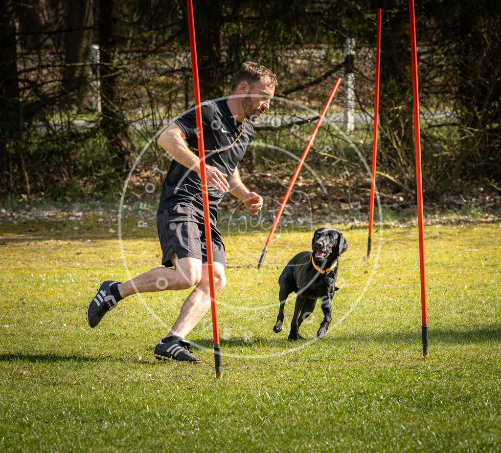 Pfotenfotografie_DV3A1666 | Hundefotografie, Tierfotograf, Pfotenfotografie, Fotoshooting Hund, Hunde Portrait, Hundesport, Hundeportraits, Heideshooting, Hunde, Sportfotograf, Hundefotograf, Turnierhundsport, THS,  - Realisiert mit Pictrs.com