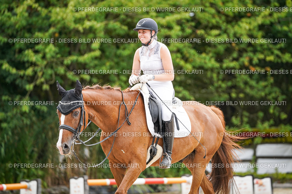 DSC08669 | Pferdegrafie