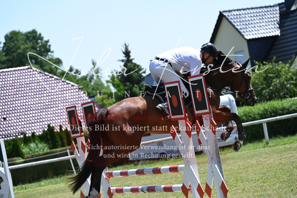 DSC_0594 | Pferde- und Turnierfotografie in Westsachsen. Pferdeportraits, Auftragszeichnungen und intuitive Kunst.
