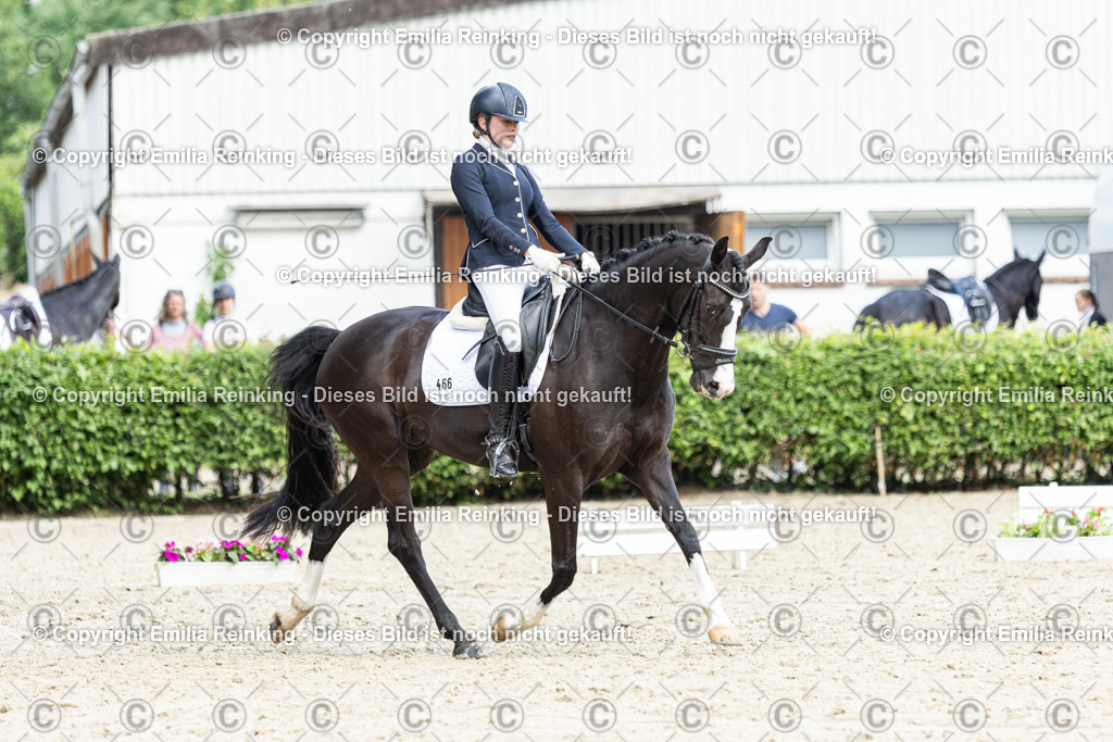 CL5A5900-2 | Emilia Reinking Fotografie - Realisiert mit Pictrs.com