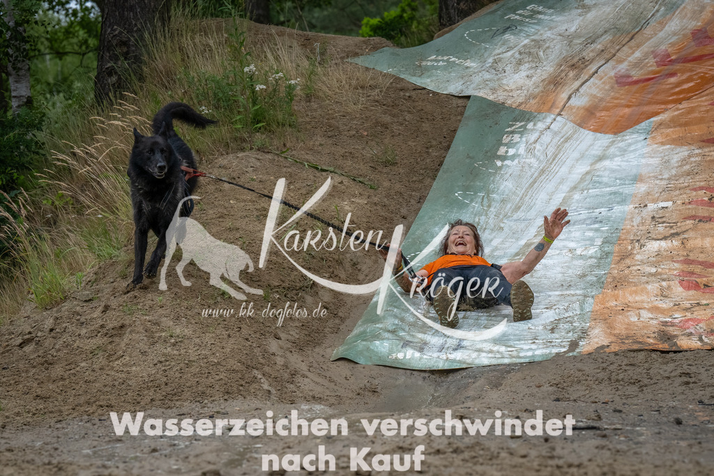 1623_ZZ91561-Bearbeitet | kk-dogfotos