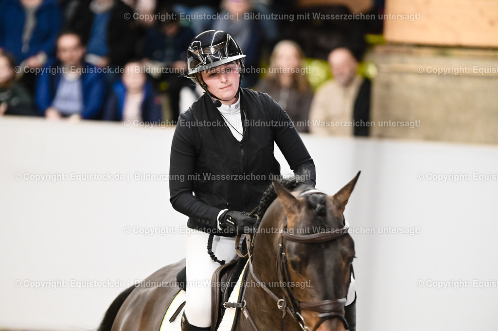 20260307_Hengstvorstellung-Marbach_0119 | equistock