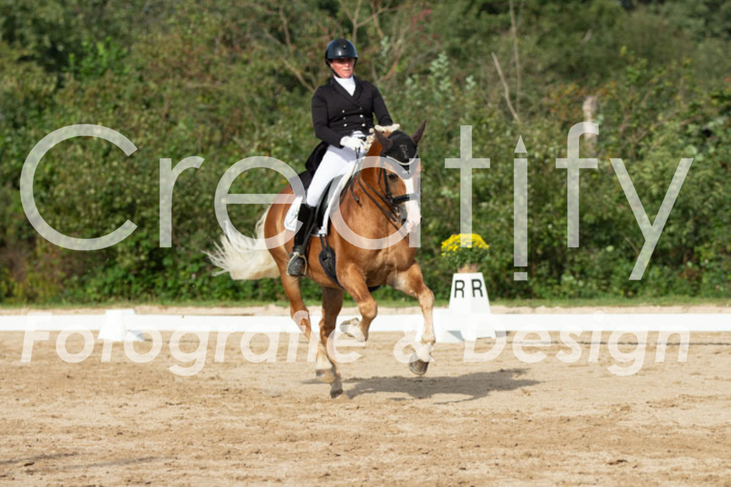 IMG_4560 | Creatify Fotografie