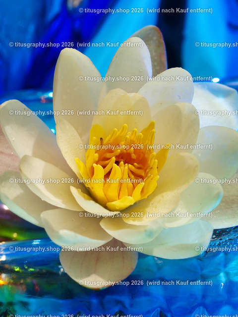 titusgraphy_P6217251-vz-ln | titusgraphy-shop: Geschenkideen mit Qualitätsfotos. titusgraphy-shop: gift ideas with quality photos. titusgraphy-shop: idées cadeaux avec photos de qualité.  - Realisiert mit Pictrs.com