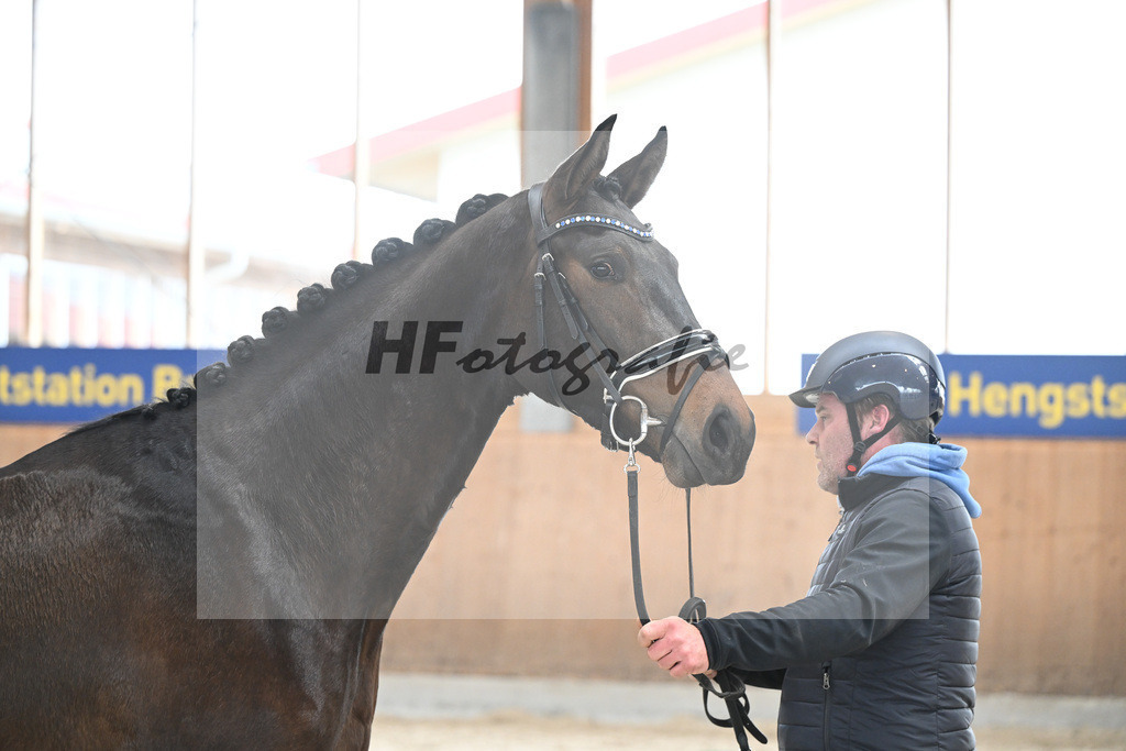Kat-Nr. 67 Donaus Zupermaus v. Zuperman_Pollich_7241419 | hf-fotografie - Realisiert mit Pictrs.com