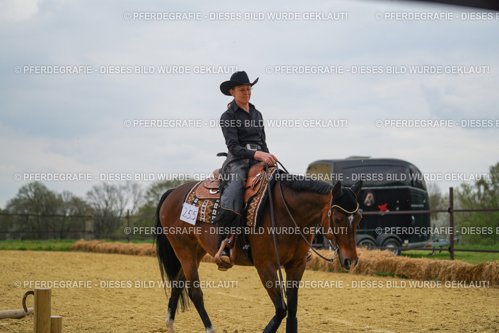 DSC07733 | Pferdegrafie