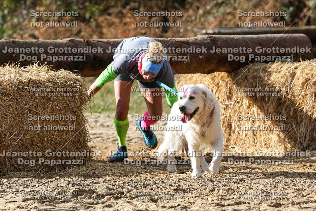 Dog Paparazzi - Strongdog 10-25-5382 | Dog Paparazzi Jeanette Grottendiek Fotografie & Videografie - Realisiert mit Pictrs.com