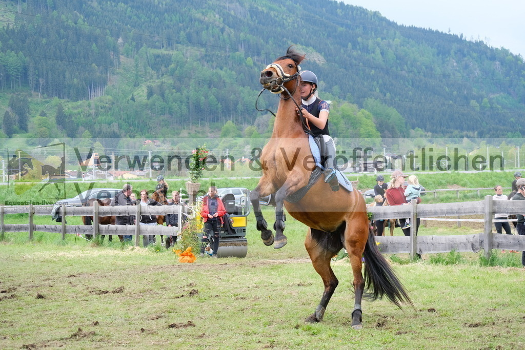 DSCF6197 | equestrian-live-com