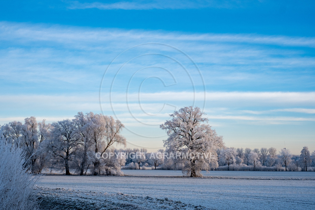 20221218-_DSF2483 | Schneebedeckte Landschaft bei eisiger Kälte - Realisiert mit Pictrs.com