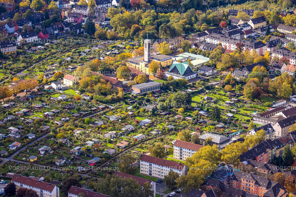 Essen251003235Mitte | Luftbild, Kleingärtnerverein Essen West e.V. und evang. Markuskirche, herbstliche Bäume, Frohnhausen, Essen, Ruhrgebiet, Nordrhein-Westfalen, Deutschland