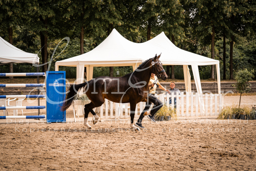 6.Fr00013 | Leoni Ertmer Photography - Realisiert mit Pictrs.com