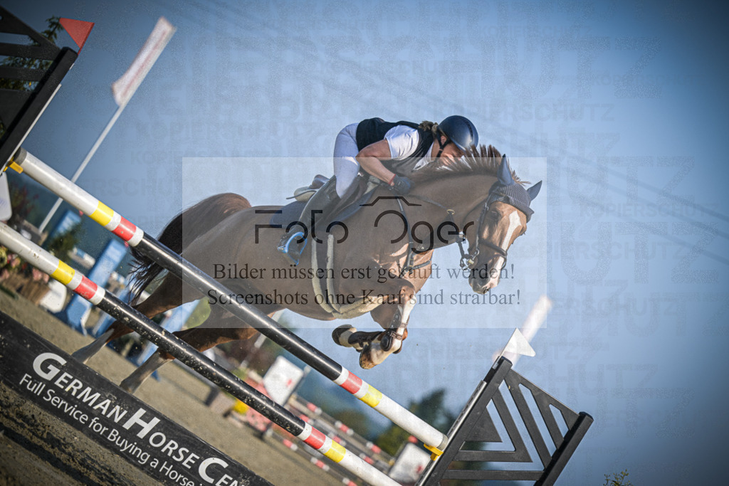DOS_1723 | Entdecke hochwertige Reitturnierfotos von Foto Oger. Professionell, emotional und authentisch – jetzt Lieblingsmomente im Shop bestellen.Deutschlandweite Turnierfotografie. - Realisiert mit Pictrs.com