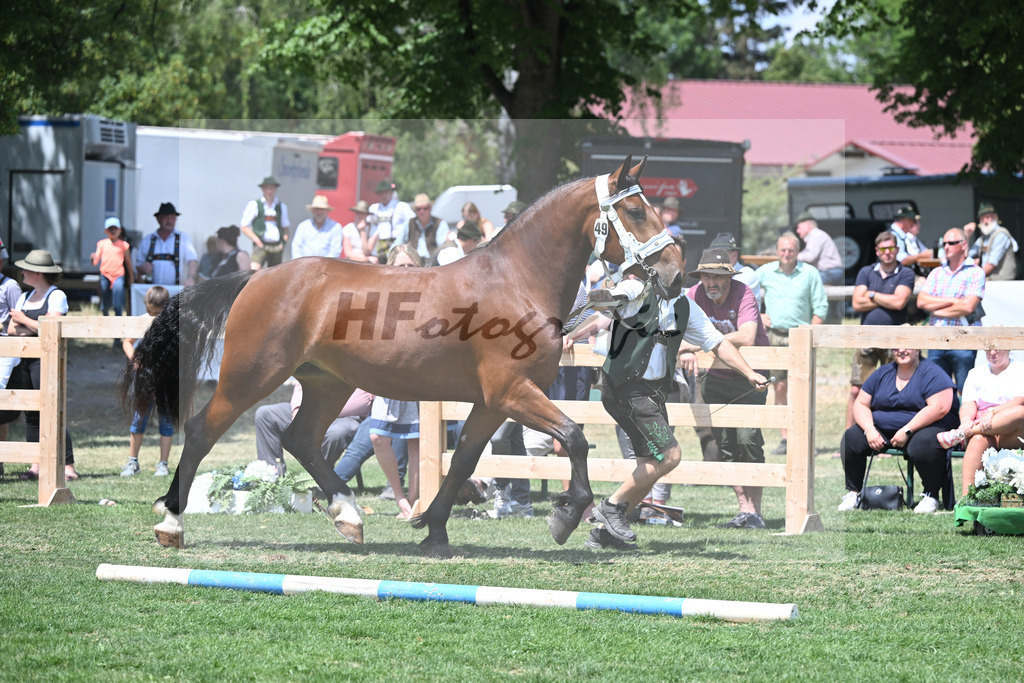 Kat-Nr. 49 Zoraya_Kotz_20230777 | hf-fotografie - Realisiert mit Pictrs.com