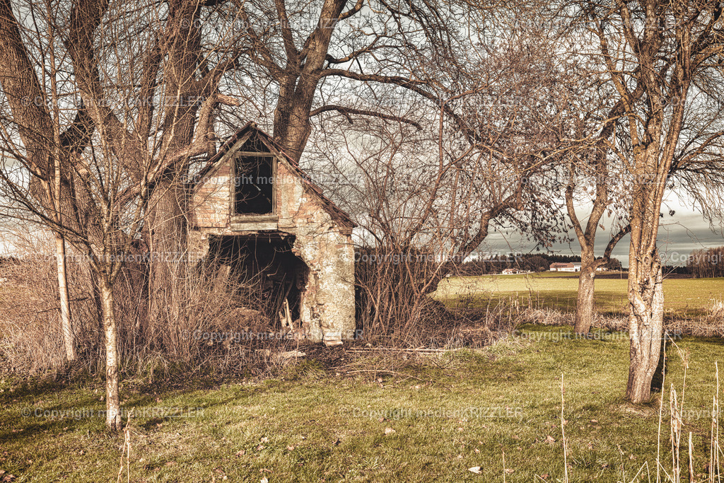 _J3A9909 | medienkrizzler - Realisiert mit Pictrs.com