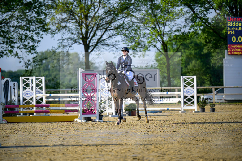 Reitturnier Lienen | Entdecke hochwertige Reitturnierfotos von Foto Oger. Professionell, emotional und authentisch – jetzt Lieblingsmomente im Shop bestellen. - Realisiert mit Pictrs.com