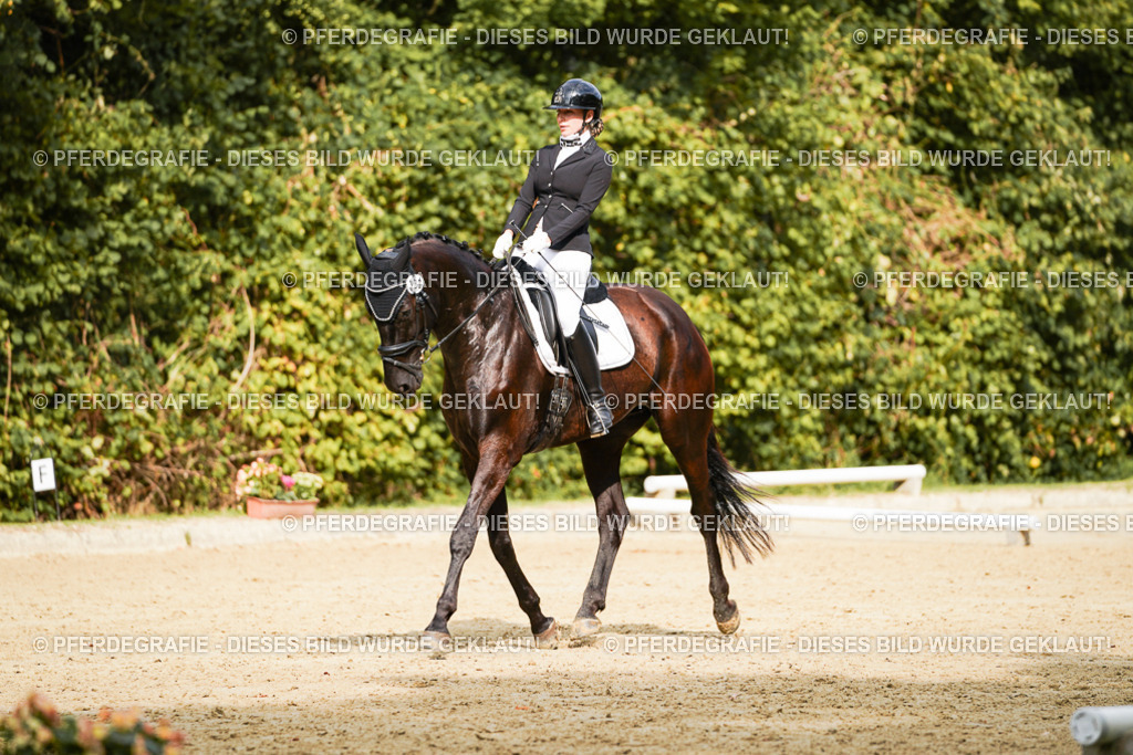 DSC02989 | Pferdegrafie