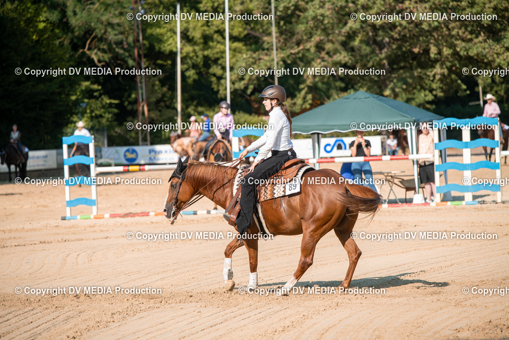 ZS2_8832 | dv-media-shop - Realisiert mit Pictrs.com