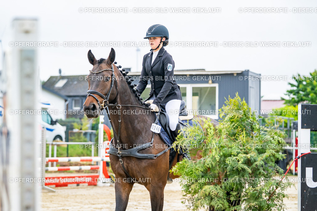 DSC01986 | Pferdegrafie