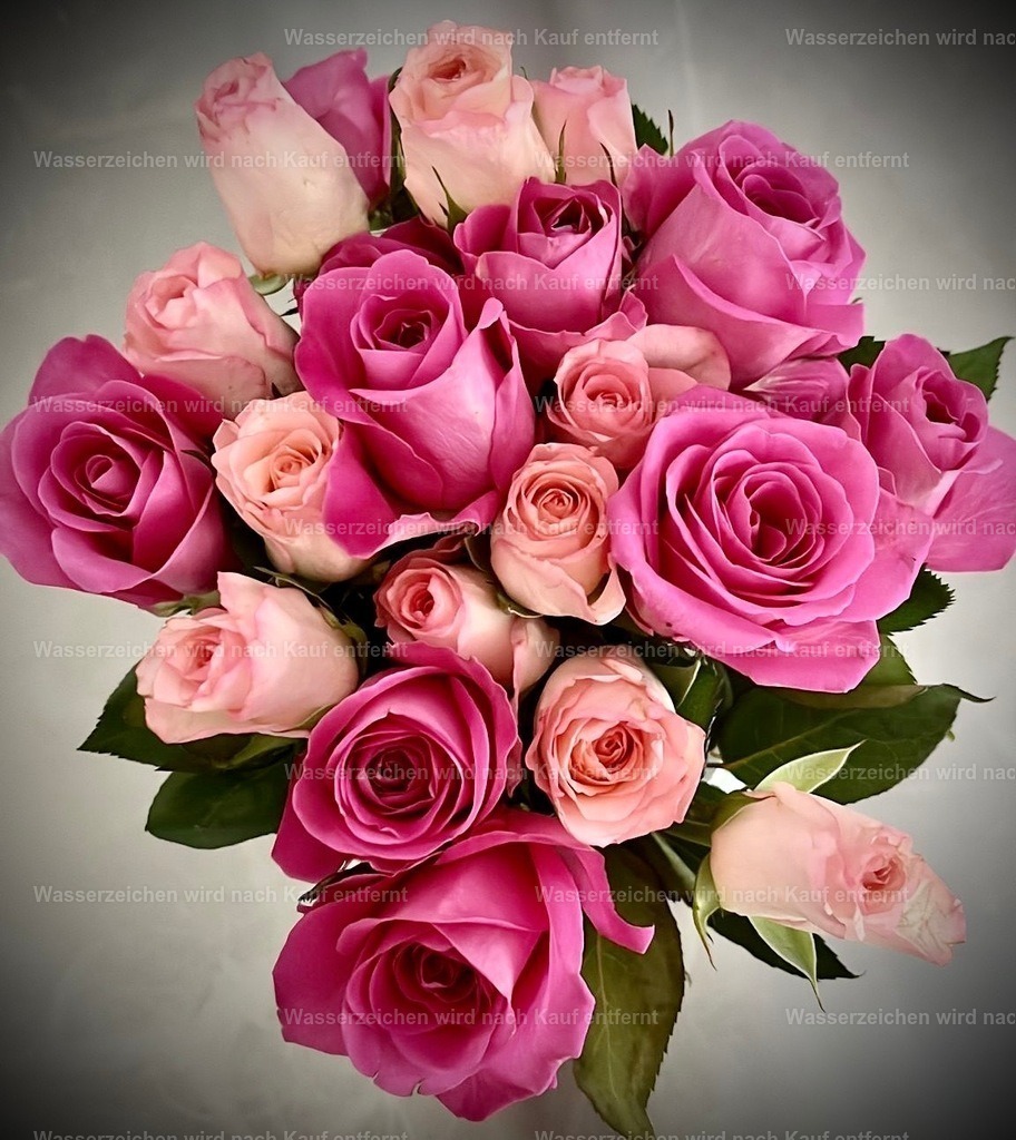 540ad9e1-73af-4b6c-95c3-9f52cde6c331 | heikomoeller - Realisiert mit Pictrs.com