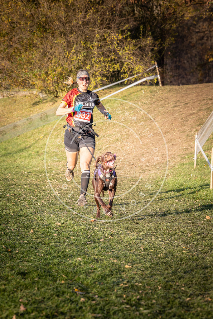 CaniXpix_0L8A0665 | Hundefotografie, Tierfotograf, Pfotenfotografie, Fotoshooting Hund, Hunde Portrait, Hundesport, Hundeportraits, Heideshooting, Hunde, Sportfotograf, Hundefotograf, Turnierhundsport, THS,  - Realisiert mit Pictrs.com