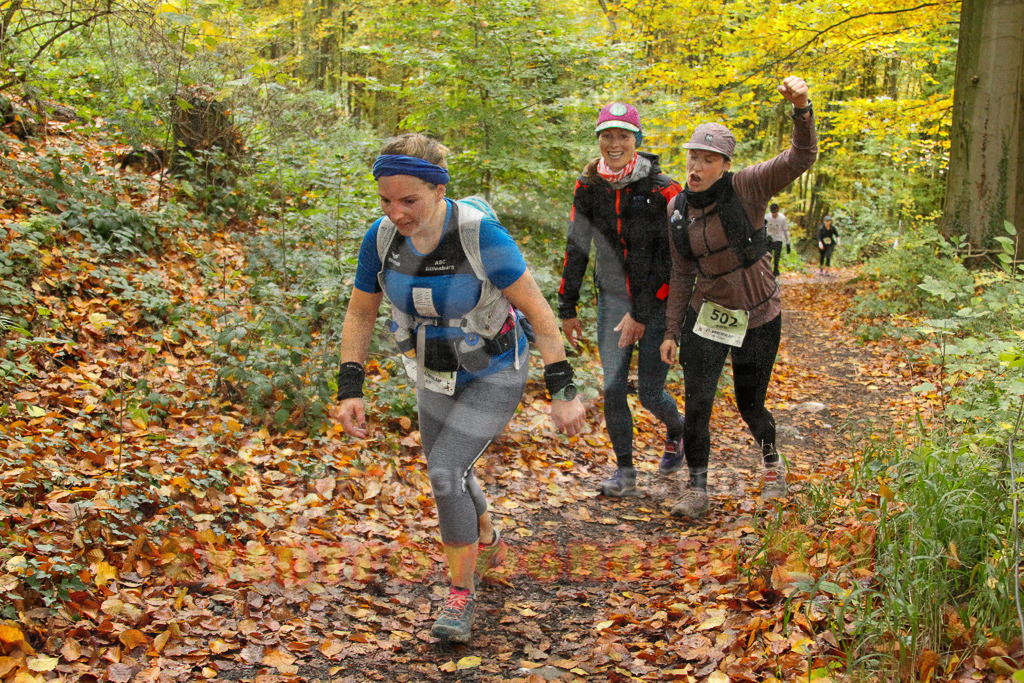 251026_1323_EV4_6869 | Sportfotografie im Rhein-Sieg Kreis, Köln, Bonn, NRW, Rheinland Pfalz, Hessen, etc. Unser Tätigkeitsfeld umfasst den Laufsport vom Volkslauf über den Marathon, Duathlon, Triathon bis zum Ultralauf wie Kölnpfad Ultra oder Schindertrail.