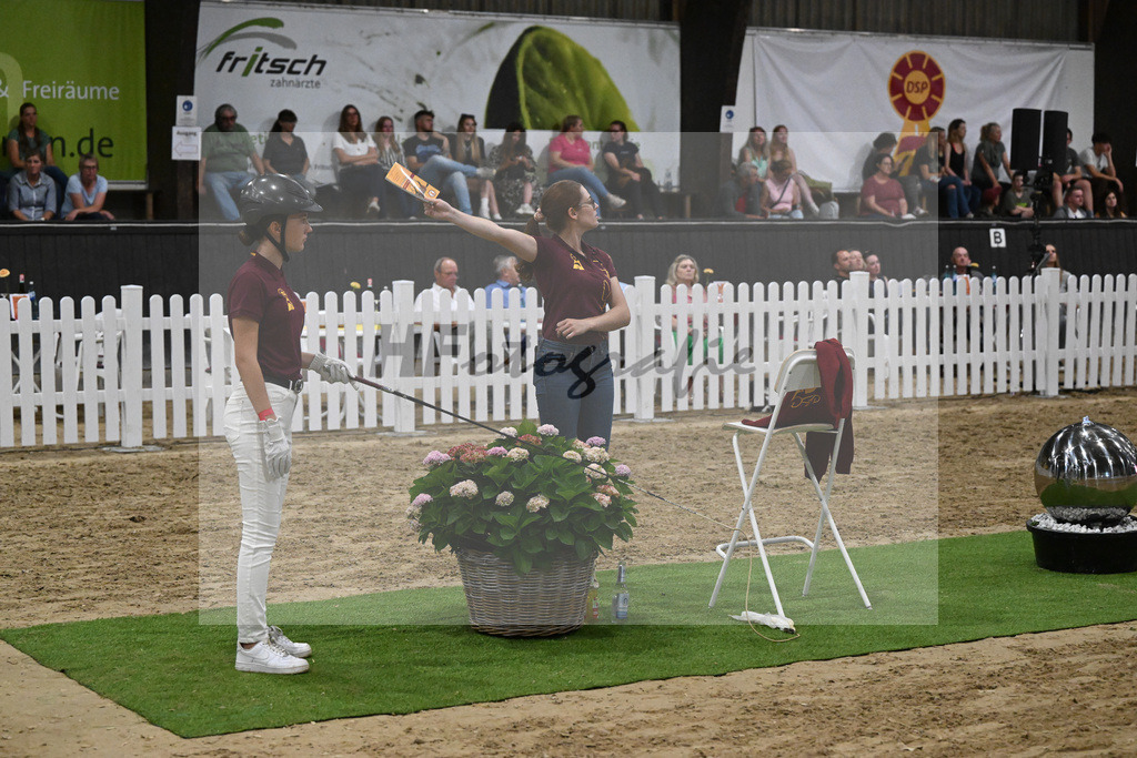 Auktion Big Chance_36230526 | hf-fotografie - Realisiert mit Pictrs.com