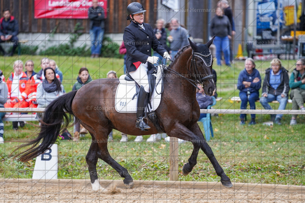 20231007-SN_00971 | Professionelle Turnier- und Reitsportfotografie - mit dem Finger am Auslöser. Pferdebilder aus dem Reitsport von den Turnierfotografen  Bayern , Pferdefotograf Bayern, Pferdeshooting Turnierbilder, Hochzeitsfotograf, Eventfotograf, Hochzeitsbilder