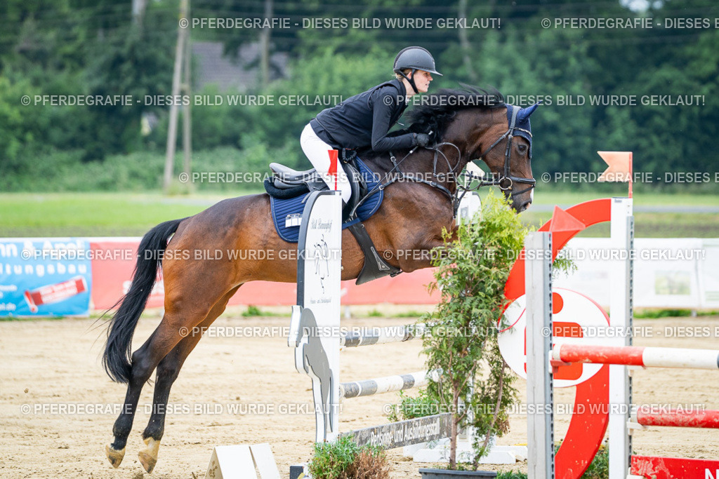 DSC03488 | Pferdegrafie