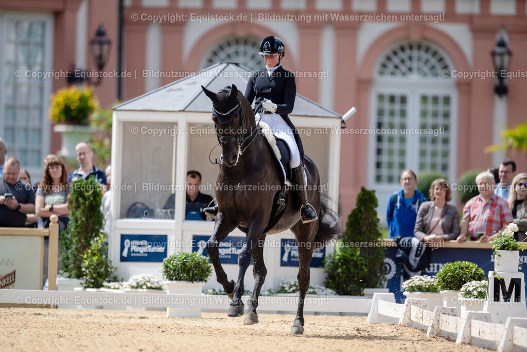 20250607_1_GP-Tour_Dressage_0061 | Foto: Thomas Hartig